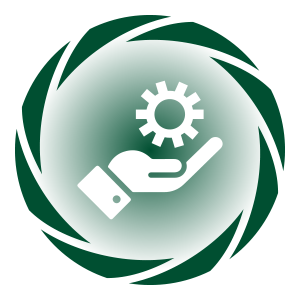 7. Ongoing Support & Optimization